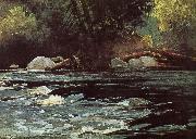 Winslow Homer Hudson River Rapids oil painting reproduction